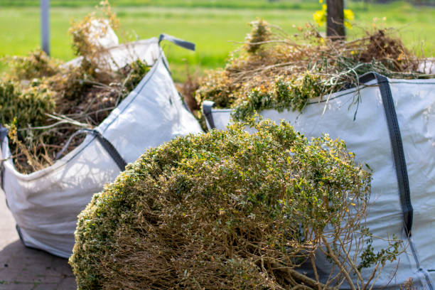 Best Construction Debris Removal  in Jasper, IN